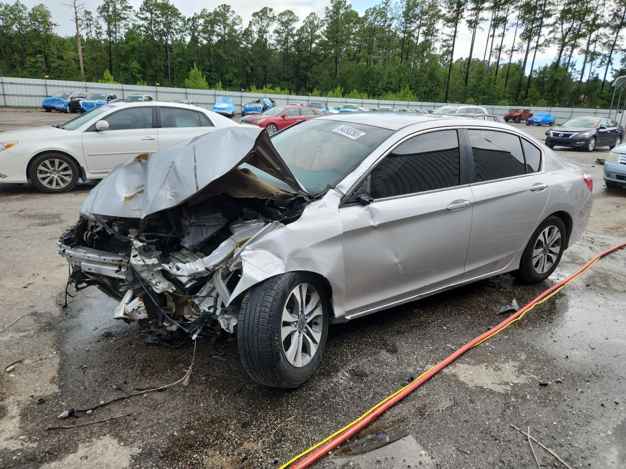 HONDA ACCORD LX