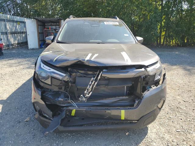 2025 SUBARU FORESTER P JF2SLDBC3SH467885