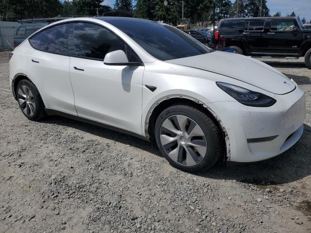 2021 TESLA MODEL Y 5YJYGAEE4MF145011
