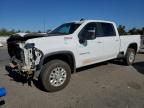 2023 CHEVROLET SILVERADO - 2GC1YNEY4P1731067