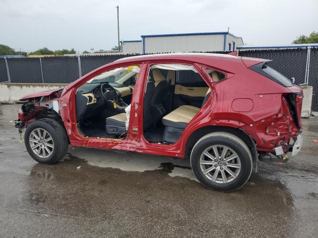 2021 LEXUS NX 300 BAS JTJDARBZ4M5031739