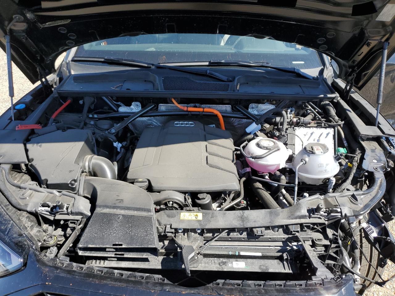 AUDI Q5 PREMIUM PLUS 55