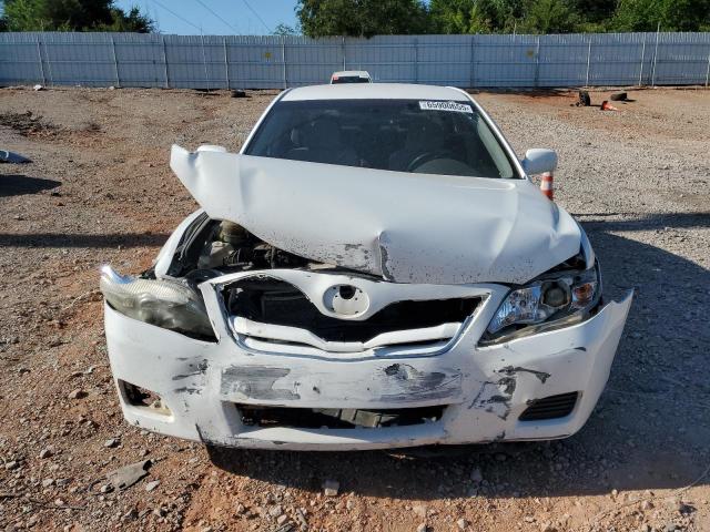 2010 TOYOTA CAMRY BASE - JTNBF3EK6A3001233