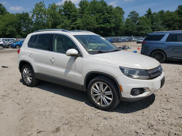 2013 VOLKSWAGEN TIGUAN - WVGBV7AX7DW519222