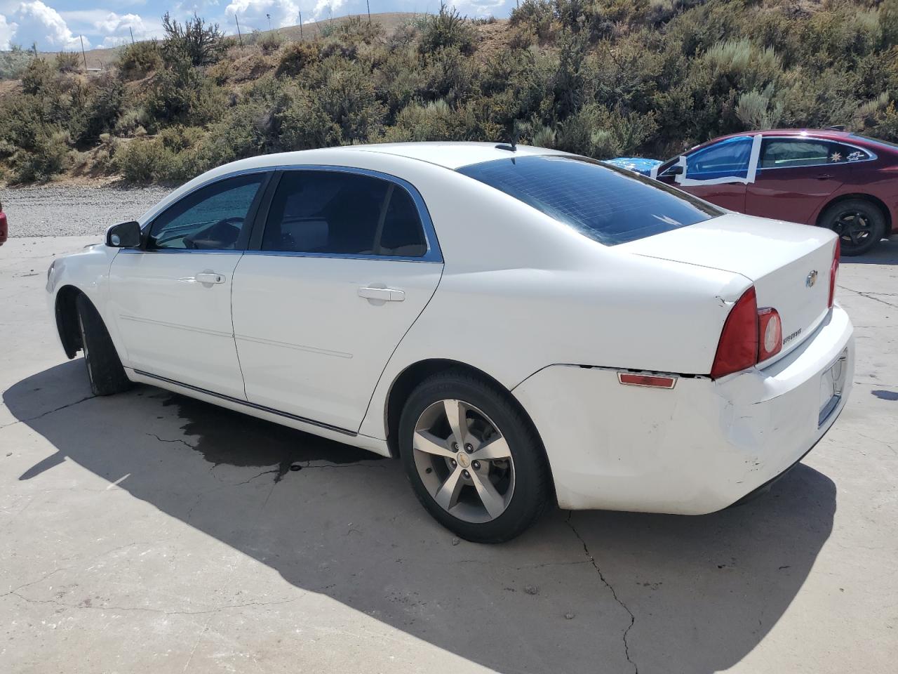 CHEVROLET MALIBU 1LT