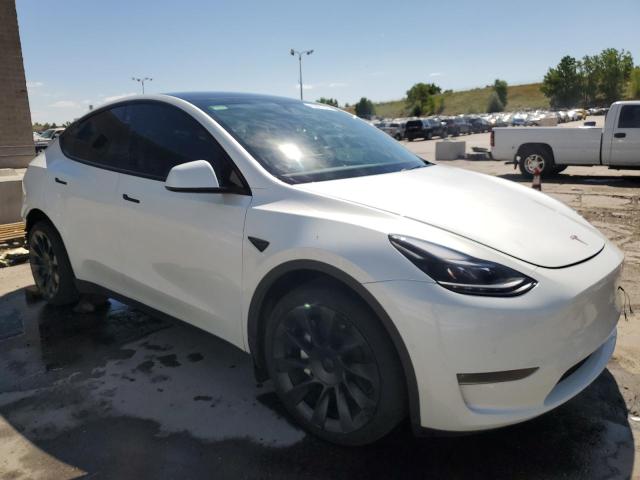 2021 TESLA MODEL Y 5YJYGDEE6MF075044