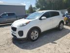 Top Destinations for Shipping Cars from the USA