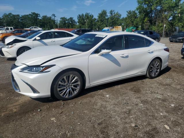 LEXUS ES 300H