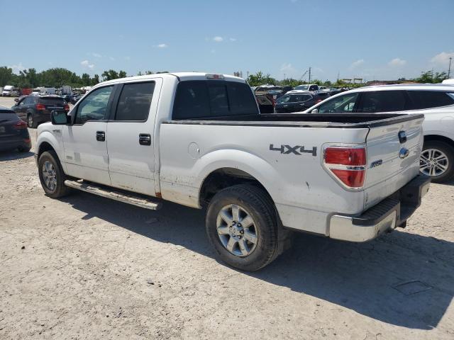 2013 FORD F150 SUPERCREW - 1FTFW1ET0DKE82206