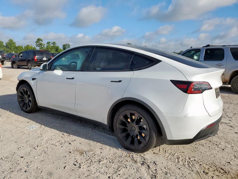 2023 TESLA MODEL Y 7SAYGAEE8PF934639