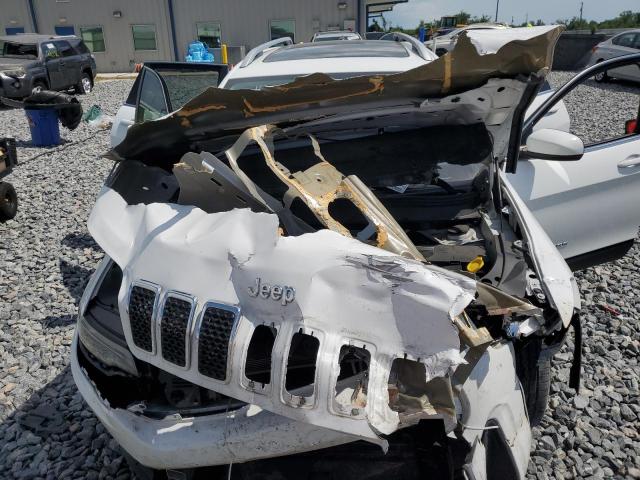 2019 JEEP CHEROKEE L - 1C4PJLLB9KD392353