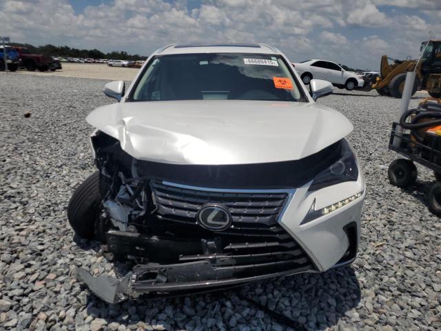 2021 LEXUS NX 300 BAS JTJDARBZ6M5021777