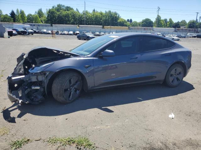 TESLA MODEL 3 2023 gray  electric 5YJ3E1EA9PF503401 photo #1