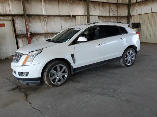 CADILLAC SRX PREMIU 2011 white  gas 3GYFNCEY1BS599752 photo #1