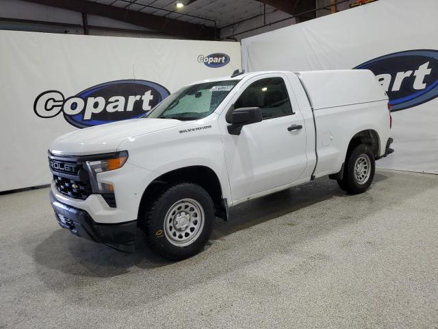 CHEVROLET SILVERADO 2023 white  gas 3GCNAAEK8PG365230 photo #1