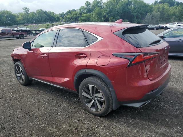 2021 LEXUS NX 300 BAS JTJGARDZ5M5029329