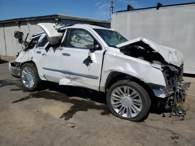 2020 CADILLAC ESCALADE P 1GYS3DKJ5LR191261