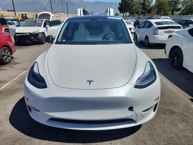 2023 TESLA MODEL Y 7SAYGDEF0PF902567