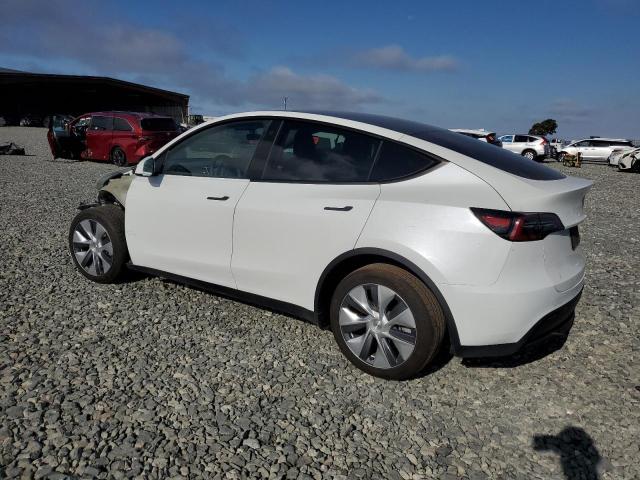 2023 TESLA MODEL Y 7SAYGDEE0PA096864