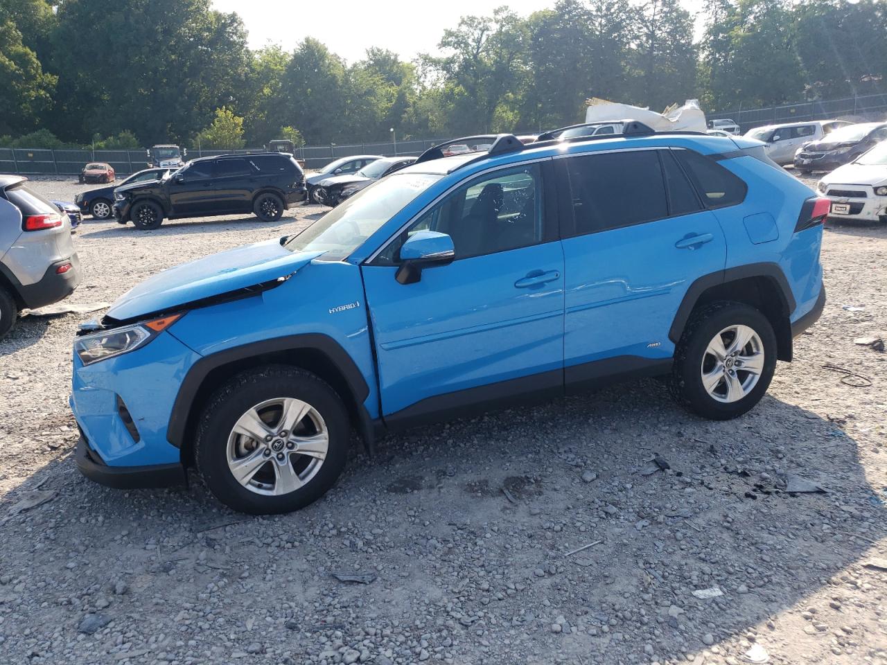 TOYOTA RAV4 XLE