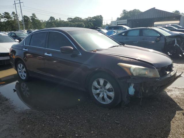 2010 HONDA ACCORD EXL #3305320302