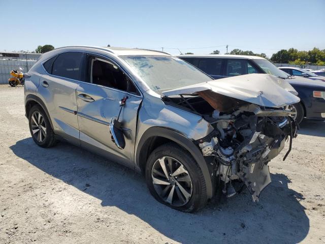 2019 LEXUS NX 300H JTJBJRBZ5K2103926