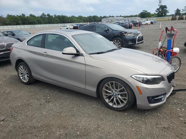 2016 BMW 228 XI SUL WBA1G9C52GV599781