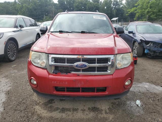 2011 FORD ESCAPE XLT - 1FMCU9D74BKB74248