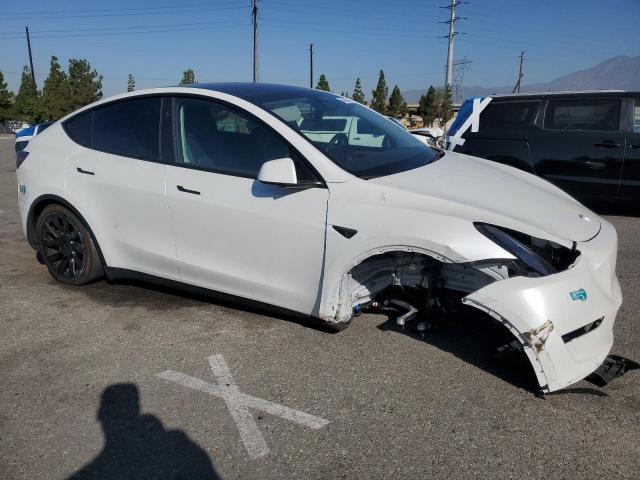2024 TESLA MODEL Y 7SAYGDED1RF095591