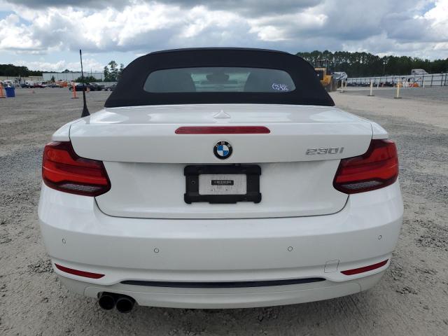 2020 BMW 230I WBA2M7C06L7E19855