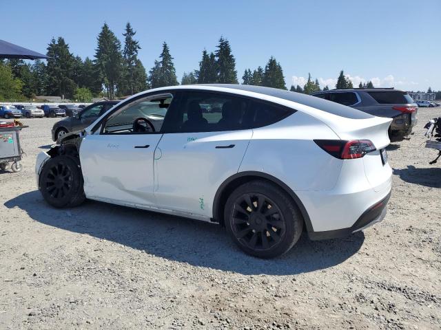 2023 TESLA MODEL Y 7SAYGDEE7PA071038