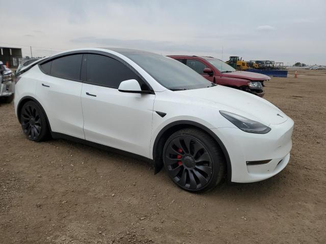 2023 TESLA MODEL Y 7SAYGDEF8PF869902
