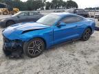 2019 FORD MUSTANG GT - 1FA6P8CF5K5191737