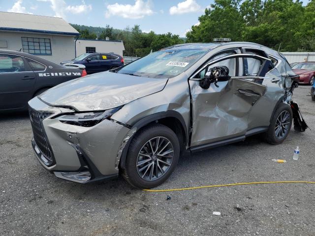 Global Auto Auctions: 2025 LEXUS NX 350 PRE