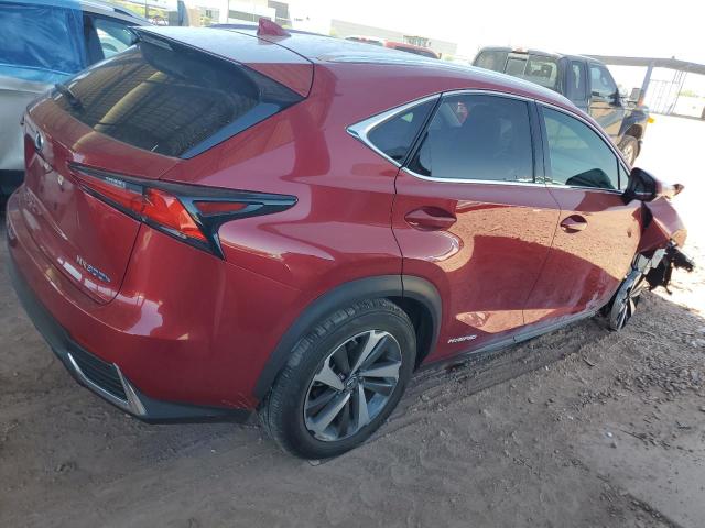 2020 LEXUS NX 300H JTJGJRDZ8L5005203