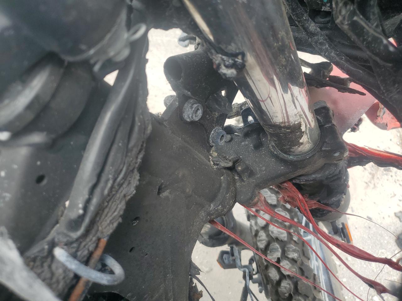 Lot #3291624246 2024 KAWASAKI KL650 M