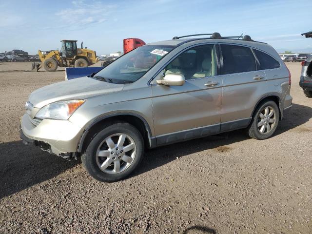 HONDA CR-V EXL 2008 gold  gas JHLRE48728C017526 photo #1