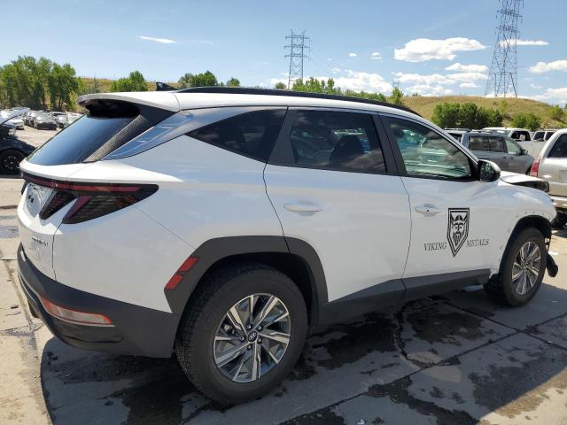2022 HYUNDAI TUCSON BLU KM8JBCA19NU022386