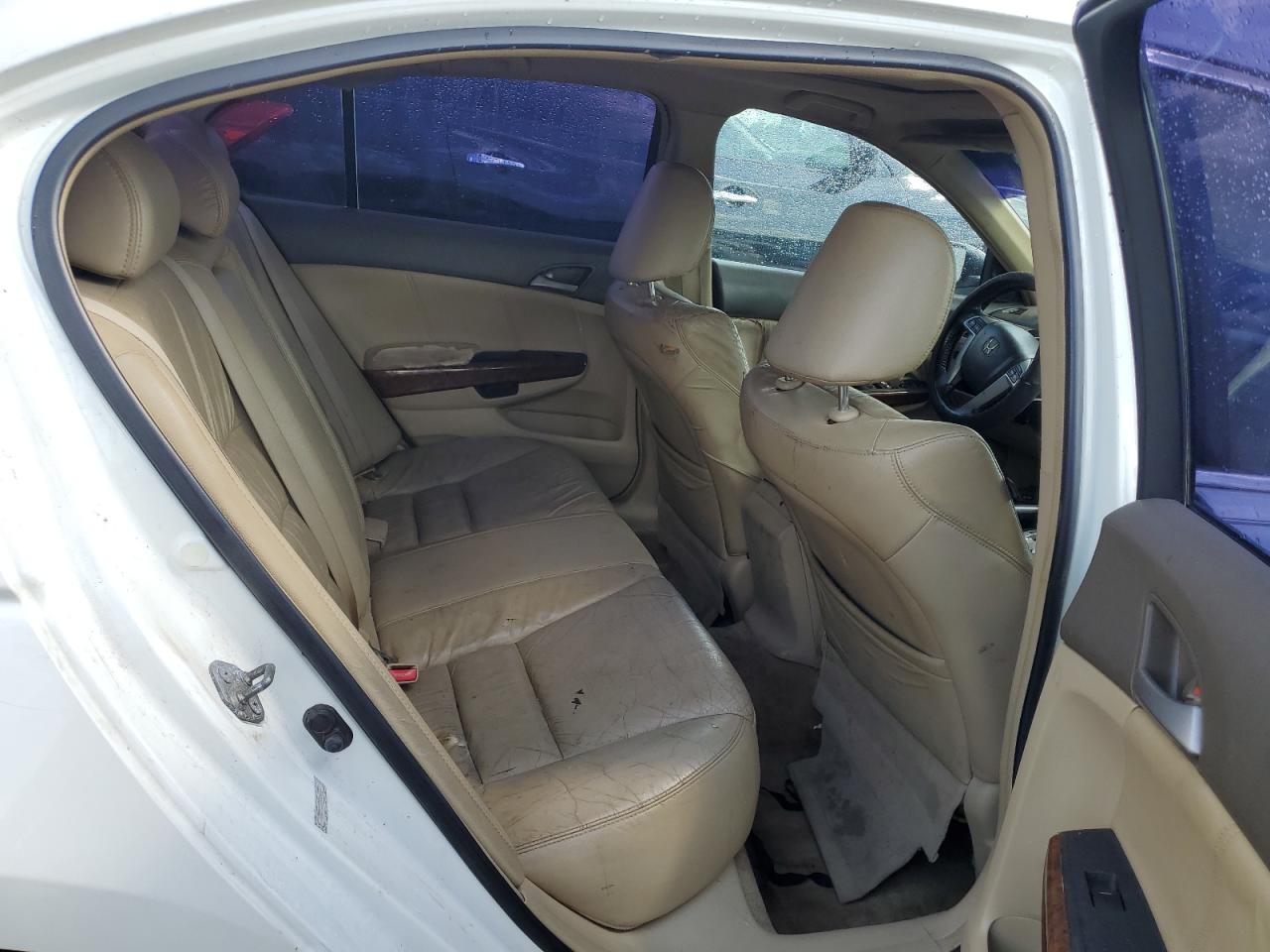 Lot #3213724329 2009 HONDA ACCORD EXL