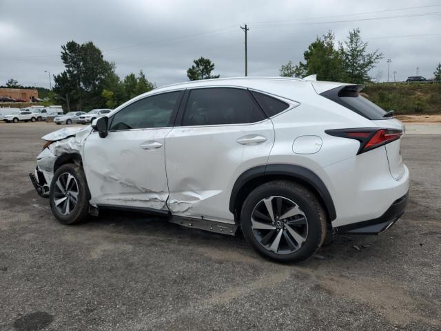 2021 LEXUS NX 300 BAS JTJGARDZ7M5023595
