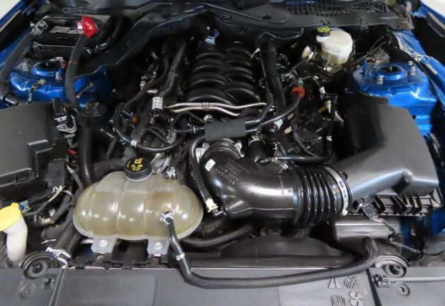 2019 FORD MUSTANG GT 1FA6P8CF9K5148115