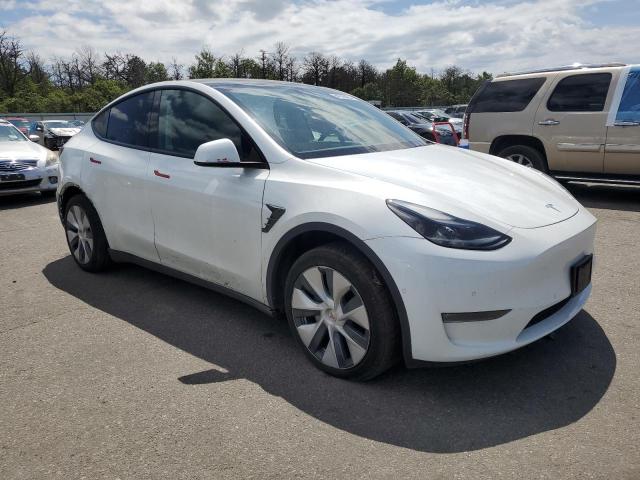 2021 TESLA MODEL Y 5YJYGDEE7MF065882