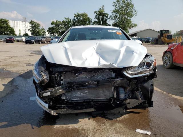 2019 HYUNDAI SONATA LIM 5NPE34AF3KH778791