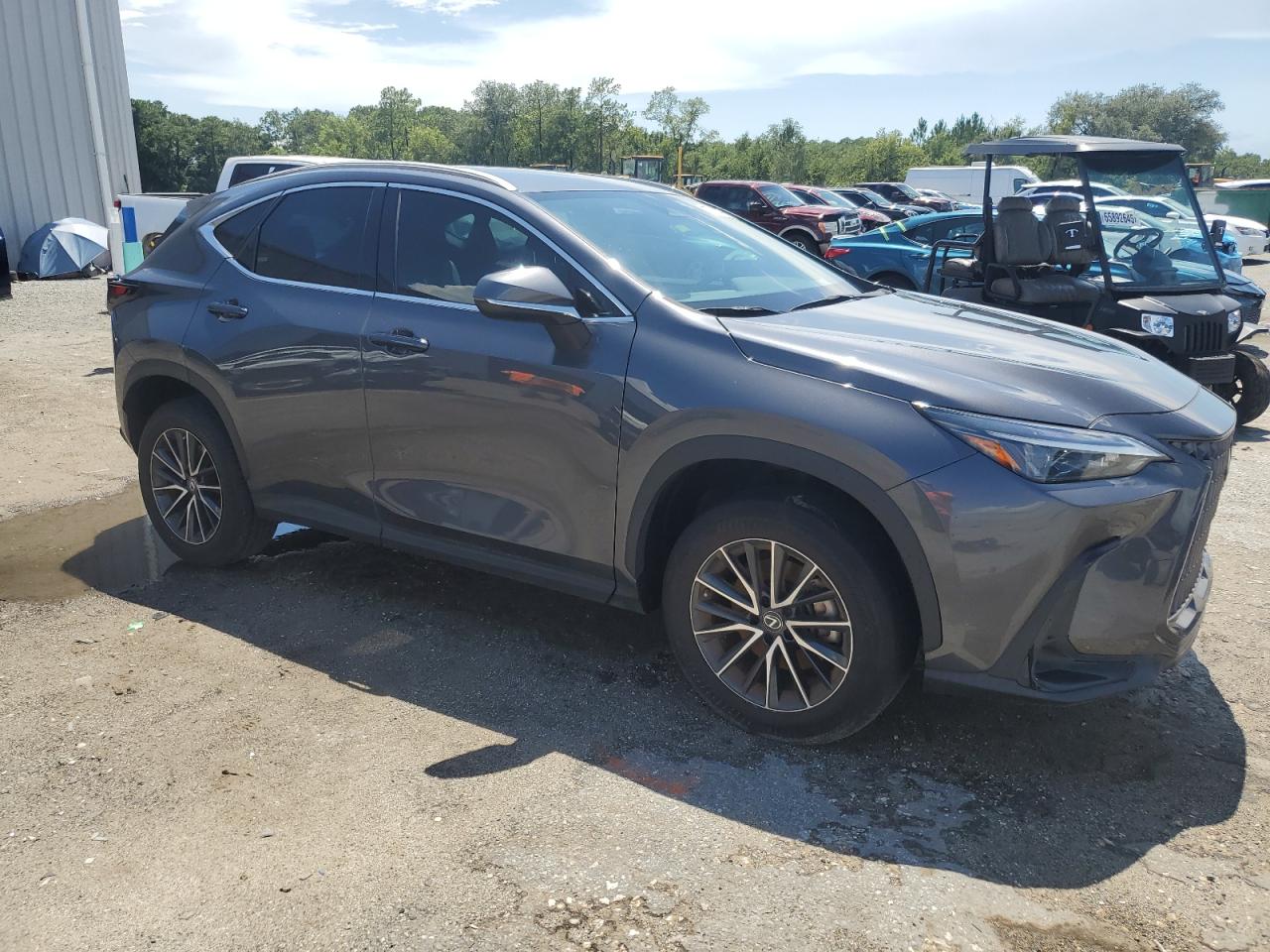 LEXUS NX 250