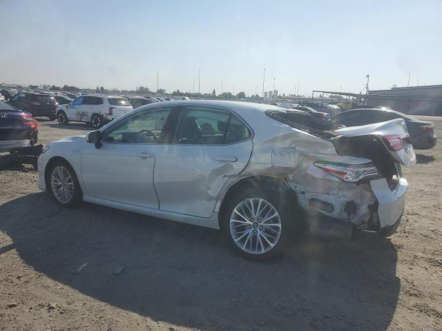 2019 TOYOTA CAMRY HYBR - 4T1B21HK1KU519516