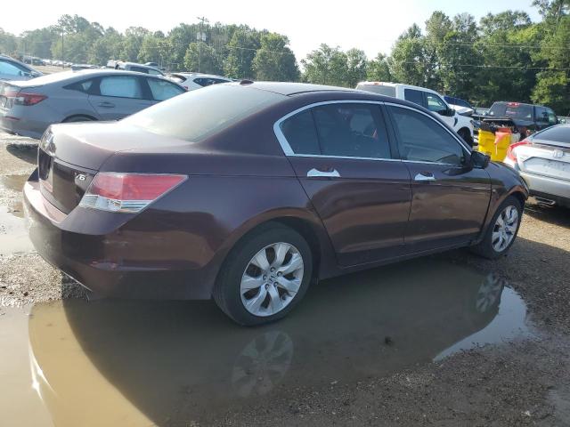 2010 HONDA ACCORD EXL #3305320302