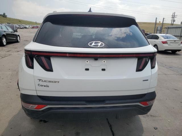 2022 HYUNDAI TUCSON SEL - 5NMJBCAE8NH060402