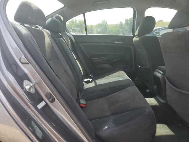2010 HONDA ACCORD LXP - 1HGCP2F43AA104512