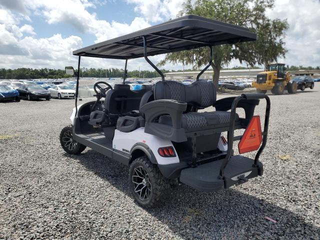 ASPT 6P 2023 white   FLA129898 photo #4