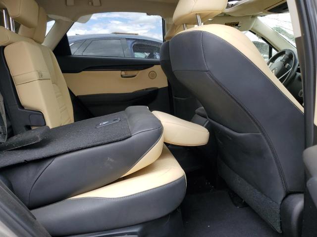 2020 LEXUS NX 300H JTJGJRDZ9L2146167